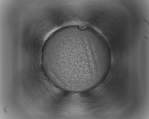X0000102231222200808081340