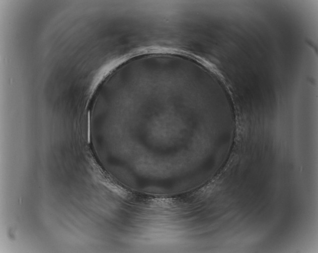 X0000102231223200808081340