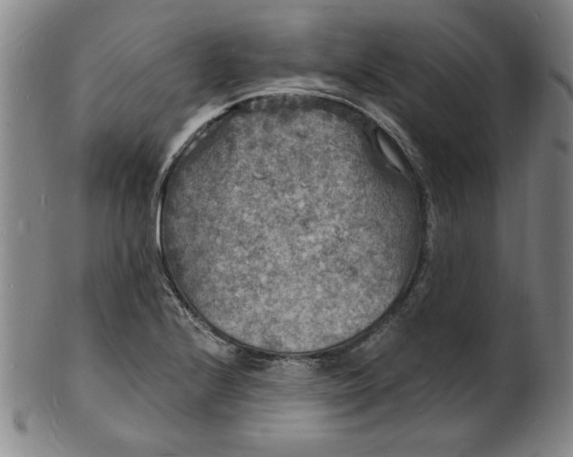 X0000102231224200808081340