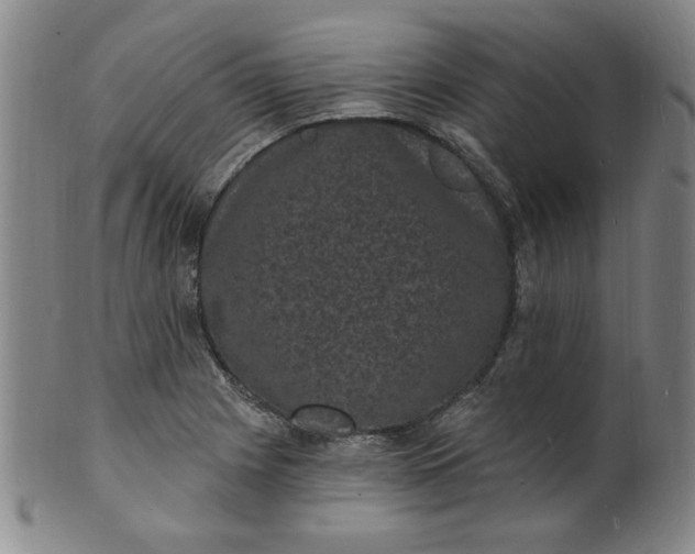 X0000102231225200808081340