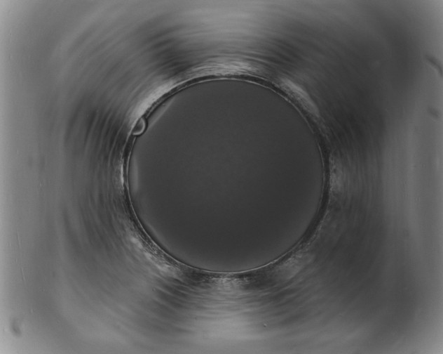 X0000102231226200808081340