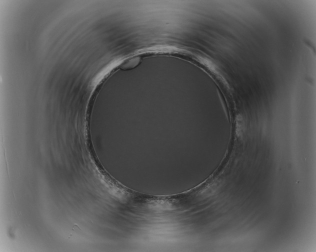 X0000102231229200808081340