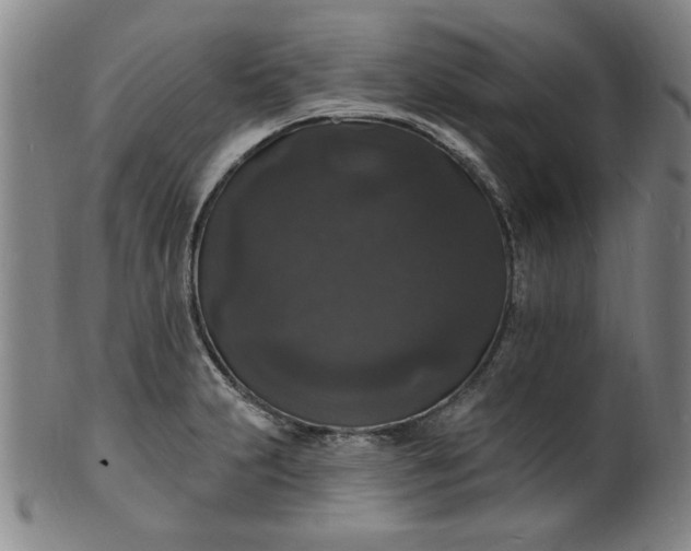 X0000102231231200808081340