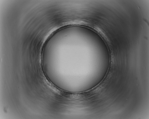 X0000102231232200808081340