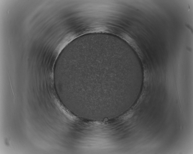 X0000102231234200808081340