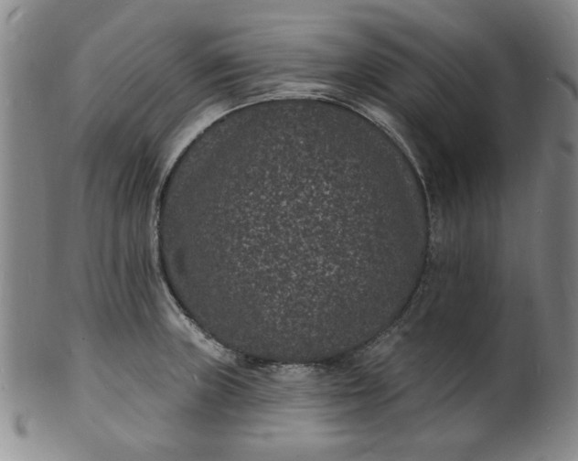X0000102231235200808081340