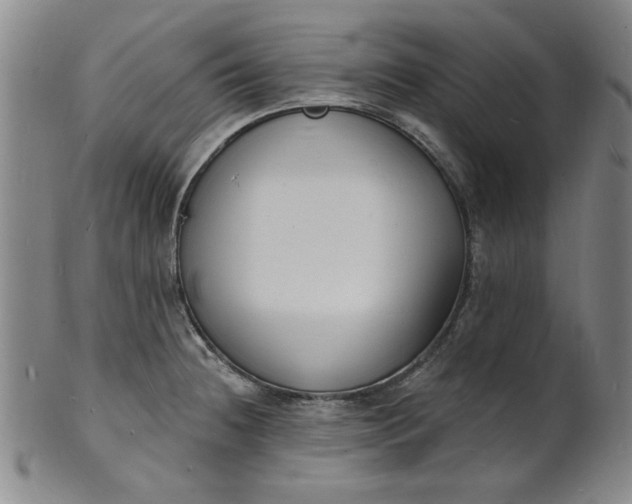 X0000102231236200808081340