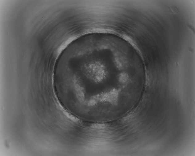 X0000102231237200808081340
