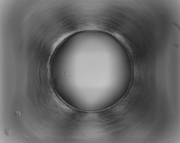 X0000102231238200808081340