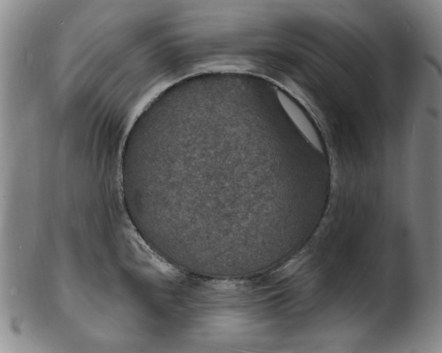 X0000102231240200808081340