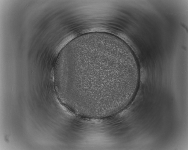 X0000102231241200808081340