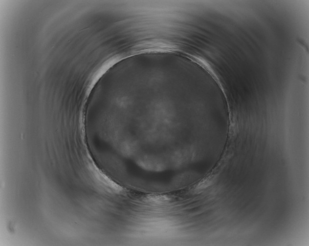 X0000102231243200808081340