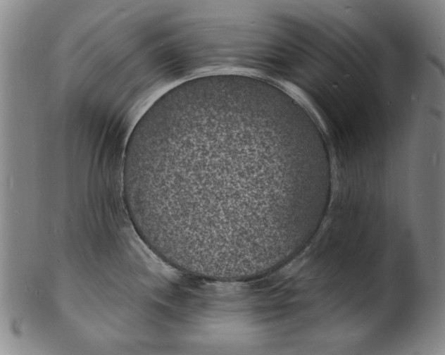 X0000102231244200808081340