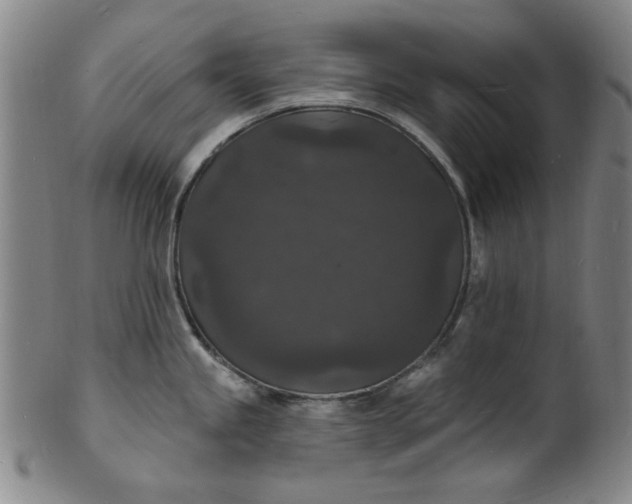X0000102231245200808081340