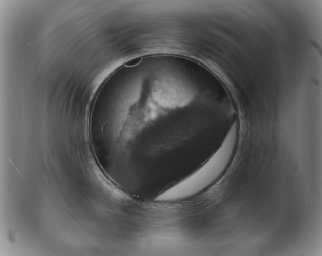 X0000102231246200808081340