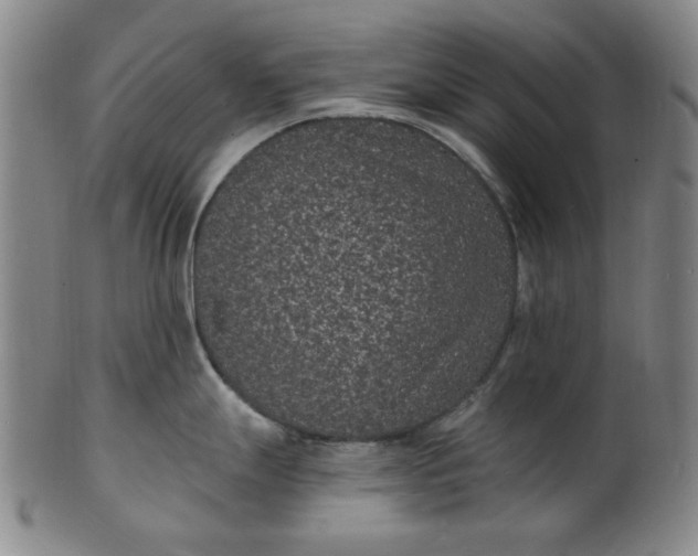 X0000102231247200808081340