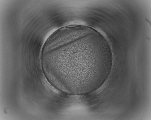 X0000102231248200808081340