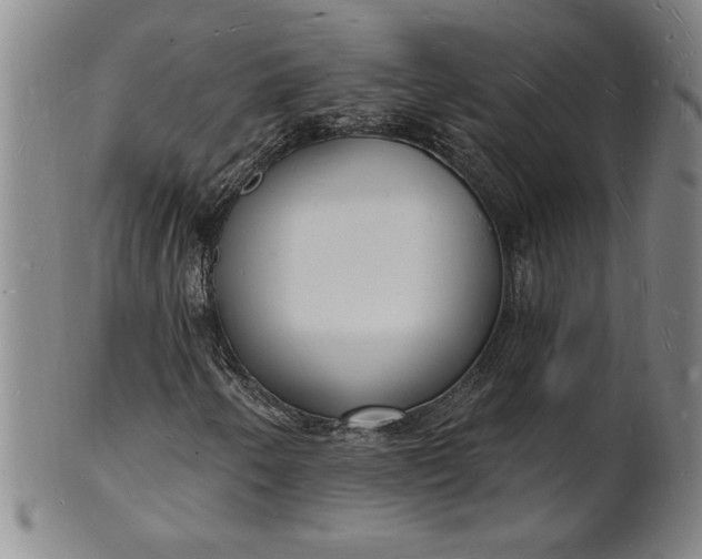 X0000102231250200808081339