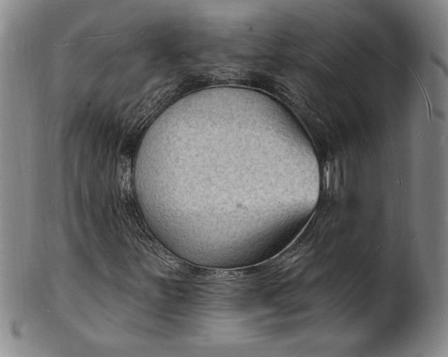 X0000102231251200808081339