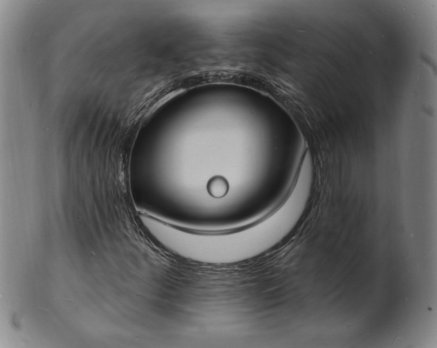 X0000102231252200808081339