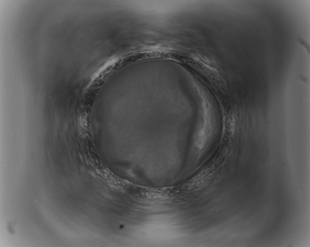 X0000102231254200808081339