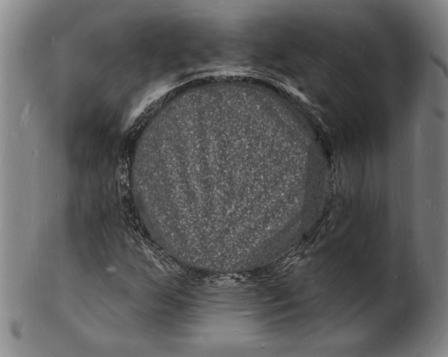 X0000102231255200808081339
