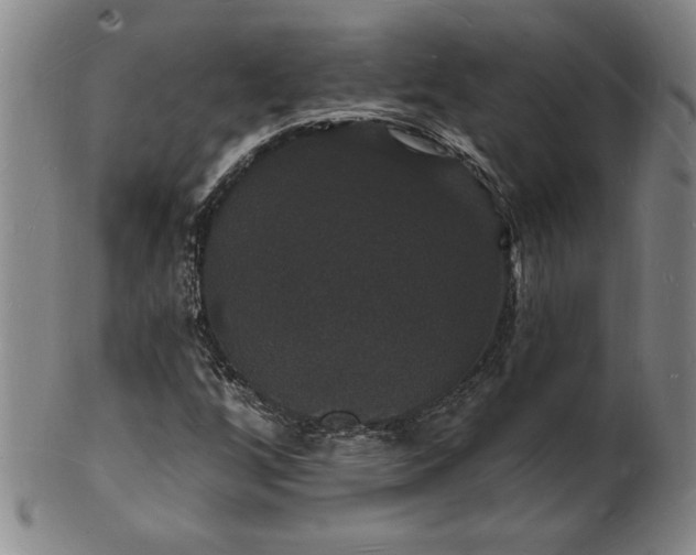 X0000102231256200808081339