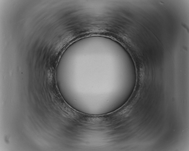 X0000102231257200808081339