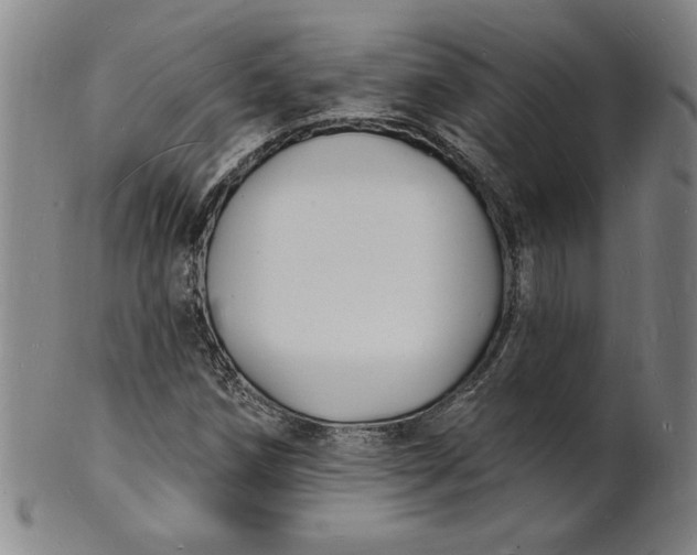 X0000102231258200808081339