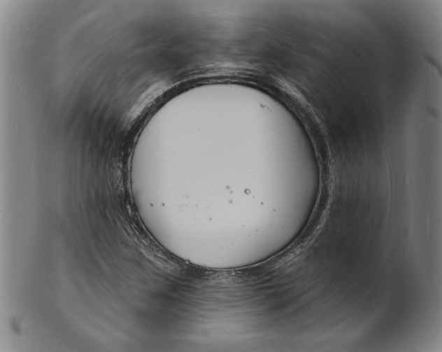 X0000102231259200808081339