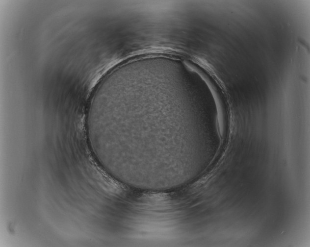 X0000102231260200808081339