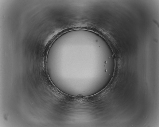 X0000102231262200808081339