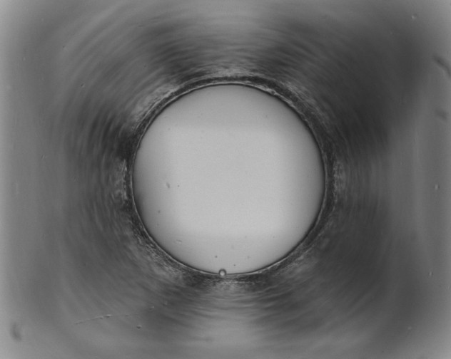 X0000102231265200808081339
