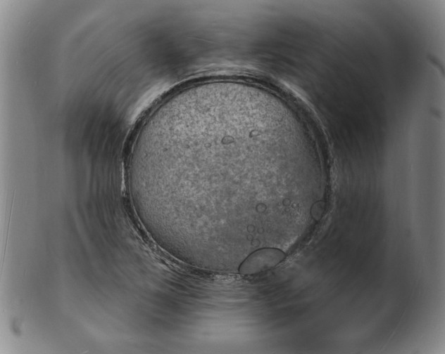 X0000102231267200808081339