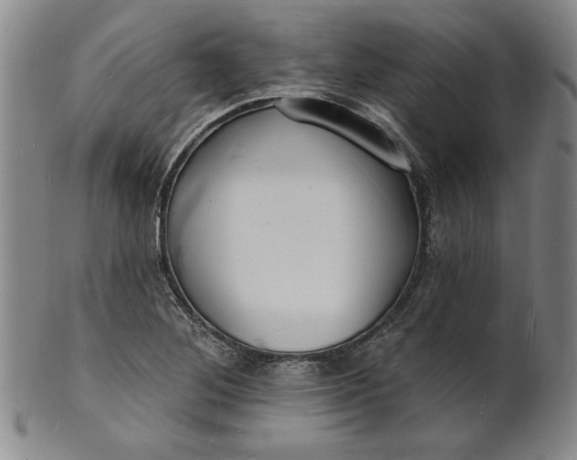 X0000102231268200808081339
