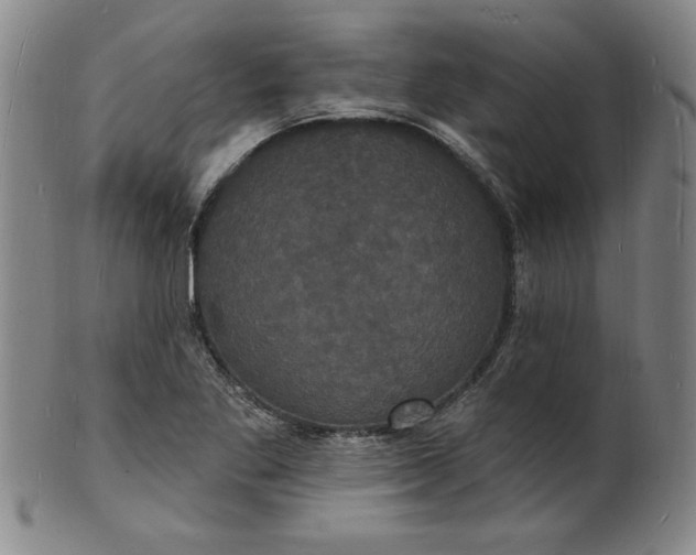 X0000102231269200808081339