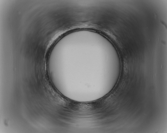 X0000102231270200808081339