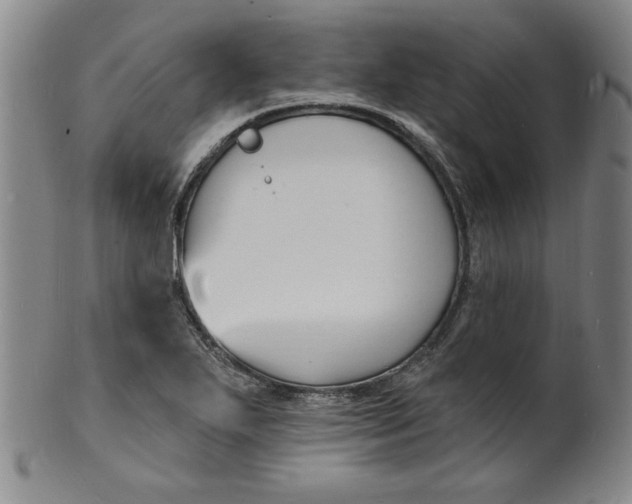 X0000102231271200808081339