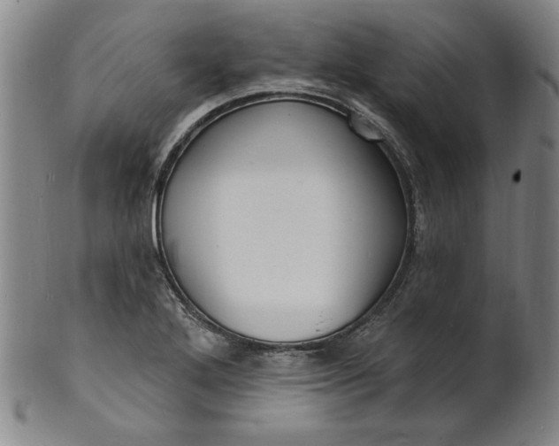 X0000102231272200808081339