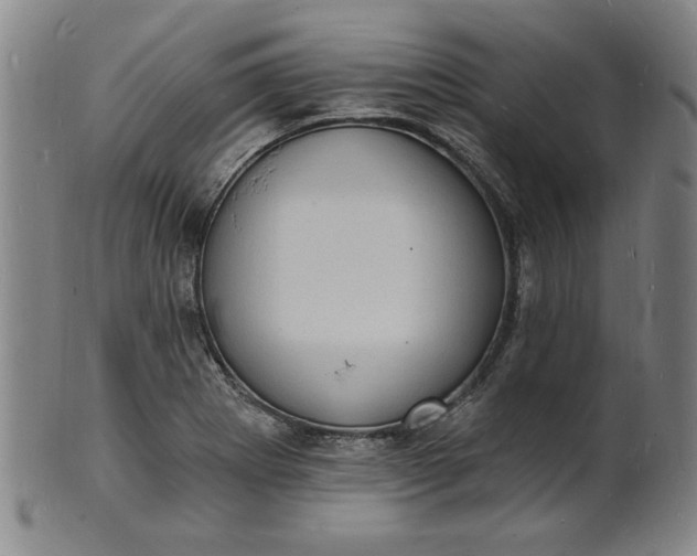 X0000102231273200808081339