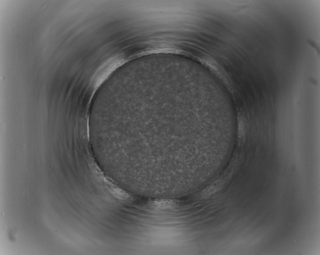 X0000102231274200808081339