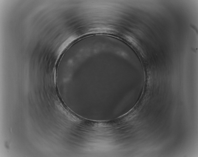 X0000102231275200808081339