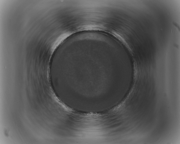 X0000102231277200808081339