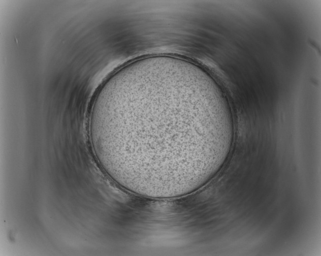 X0000102231278200808081339