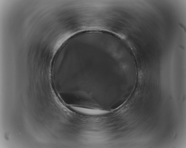 X0000102231279200808081339