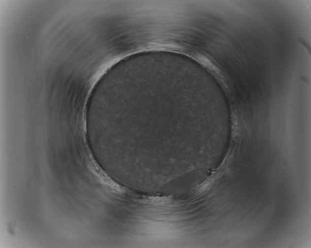 X0000102231280200808081339