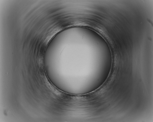 X0000102231281200808081339
