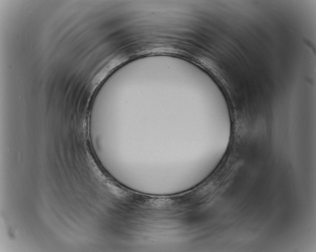 X0000102231282200808081339