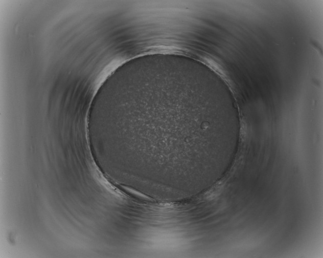X0000102231283200808081339