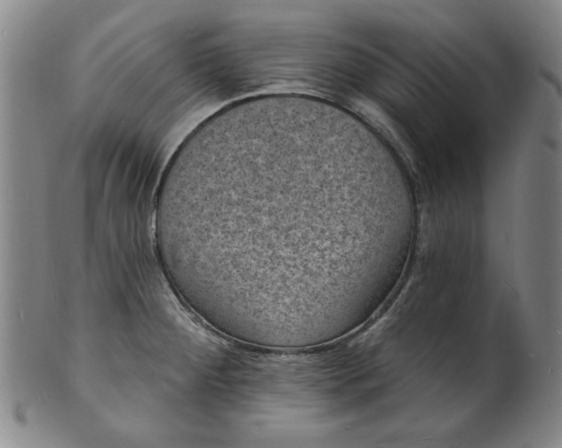 X0000102231284200808081339